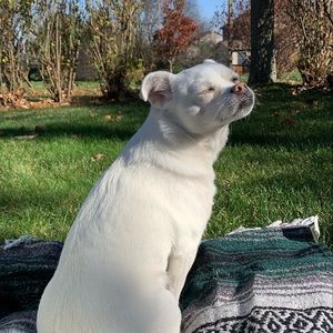 Meet your Posher, Jeffrey